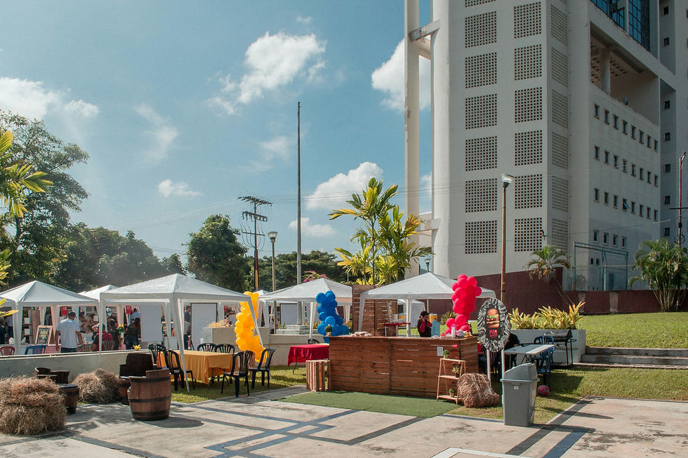 Image by Manuel Pachano