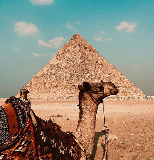 Image by Abdelrhman Allam