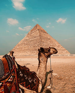 Image by Abdelrhman Allam