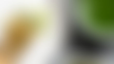 Aspect ratio 4:5, flat lay composition on a clean white linen background. Neatly arranged ingredients: Yerba Mate leaves, Matcha whisk and powder, turmeric root, lion’s mane mushrooms, kombucha glass bottle, coconut half, and lemon slices. Add minimalist icons labeling each: “Focus,” “Calm Energy,” “Hydration,” “Stress Support.” Soft natural light, bright daylight ambiance, pastel greens and golds, styled like a modern wellness magazine.