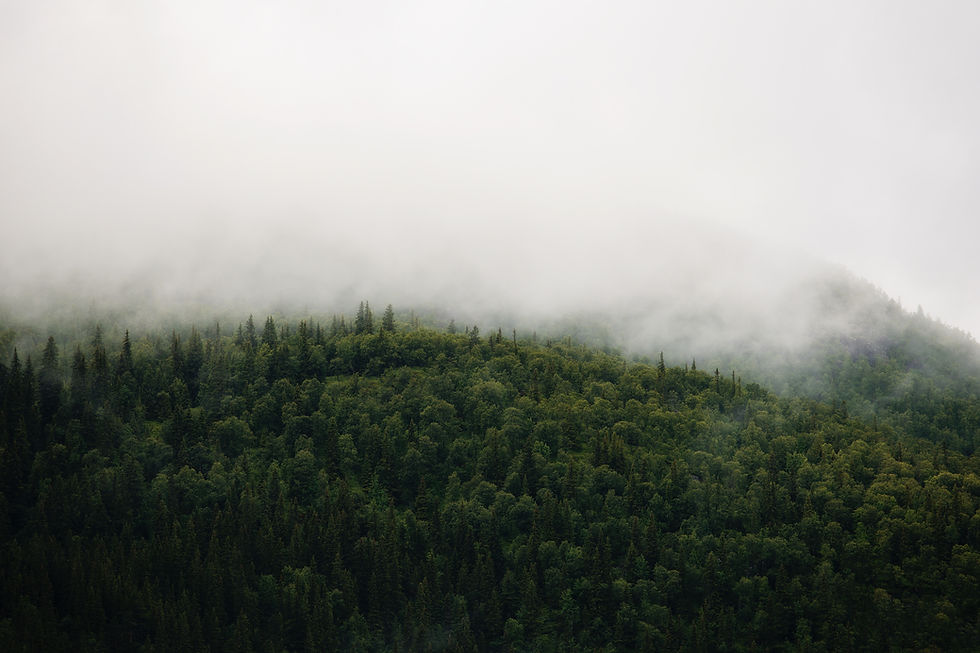Five reasons why sustainability in business is more important than ever
