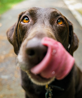 Image by James Barker