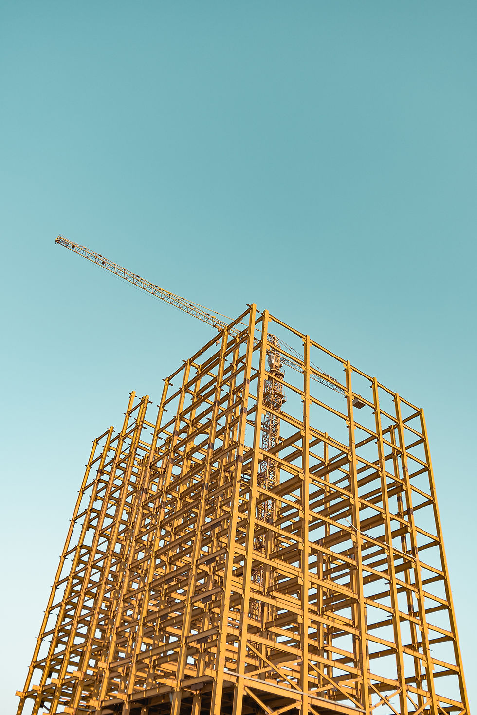 Image by Ashkan Forouzani