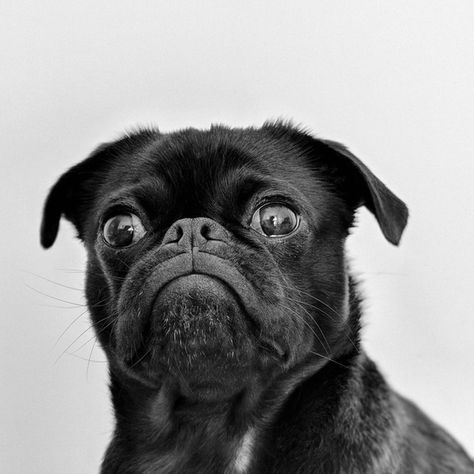 Civil Money Penalty - The 2023 Revisions   