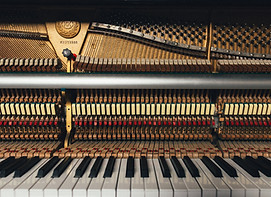 Image by Markus Gjengaar