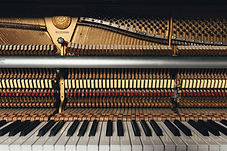 Image by Markus Gjengaar