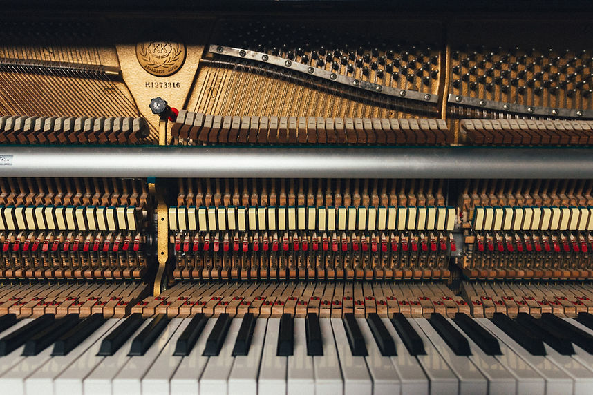 Image by Markus Gjengaar