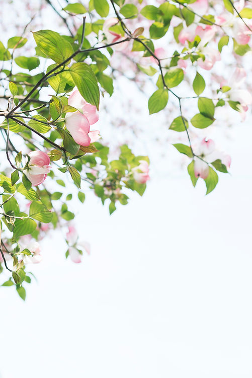 Image by TOMOKO UJI