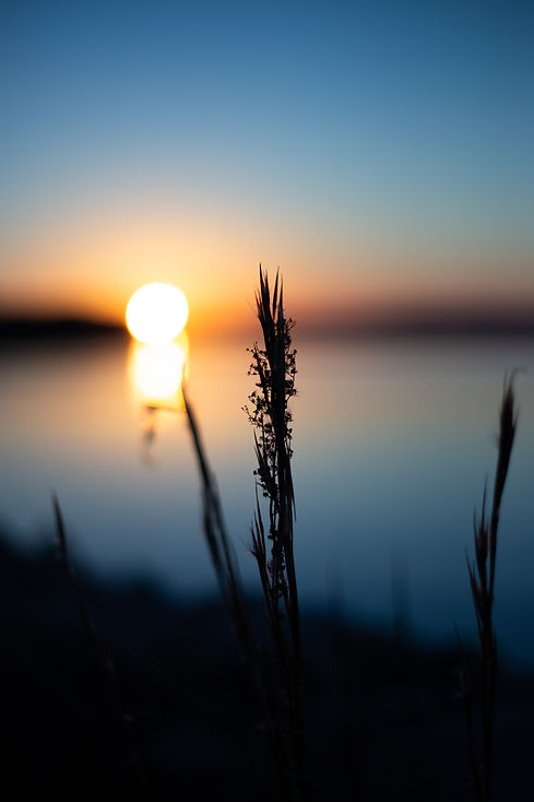 Image by Omar Roque