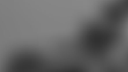 Hosanna! But Who Will Save Jesus?