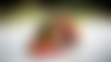 改變來自行動:領悟是起點,行動才是關鍵