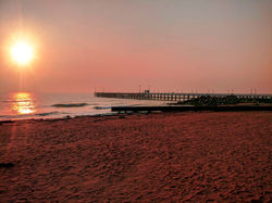 Image by Sarang Pande