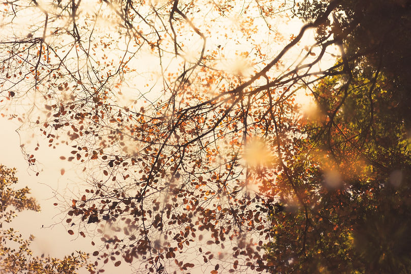 Image by Ehud Neuhaus