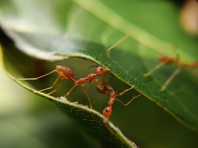 Image by MD_JERRY