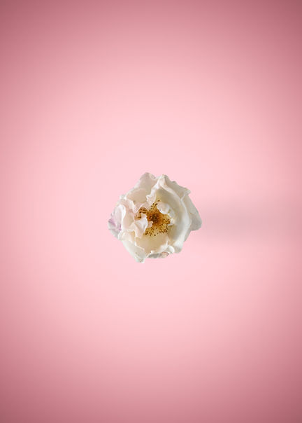 Image by Giordano Rossoni