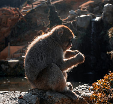 Image by Ben George