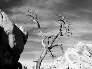 The Death of Moses (Deuteronomy 32-34)