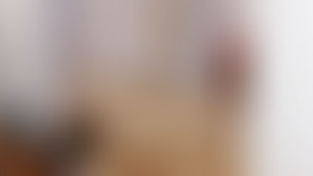 Mr. Mason and the Carions