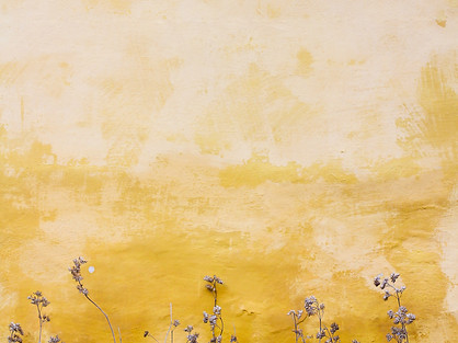Image by Mona Eendra