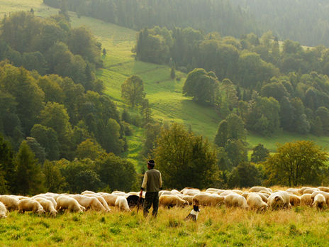 "The Lord is My Shepherd"