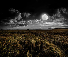 Image by Luca
