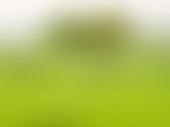 대선기획 | 기후국가 10대 과제 ③ 남북의 숲을 연결하라