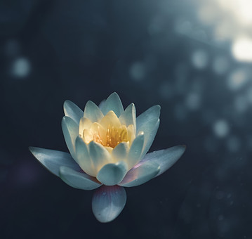 Image by Zoltan Tasi