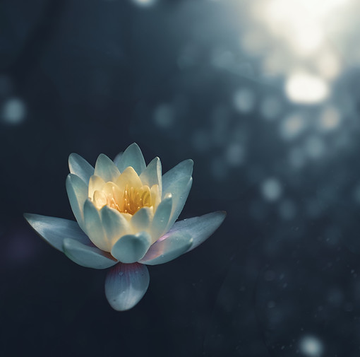 Image by Zoltan Tasi