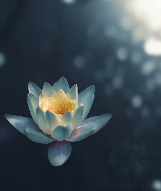 Image by Zoltan Tasi