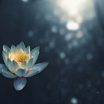 Image by Zoltan Tasi