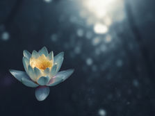 Finding Your The Zen - Benefits of stimulating the vagus nerve for improved digestion