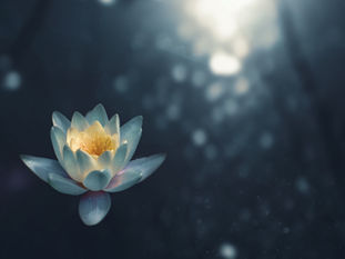 Social Anxiety and The Seven Chakras Session Cheat Sheet