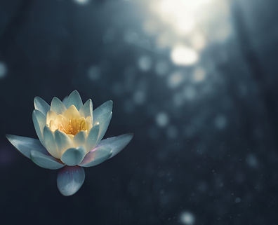 Image by Zoltan Tasi