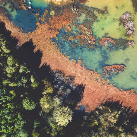 MIENTRAS TANTO EN EL MAR: LOS ECOSISTEMAS MÁS DAÑADOS DEL MUNDO