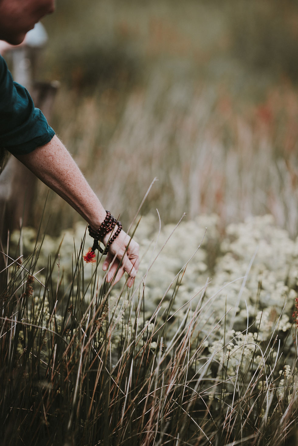 Image by Annie Spratt