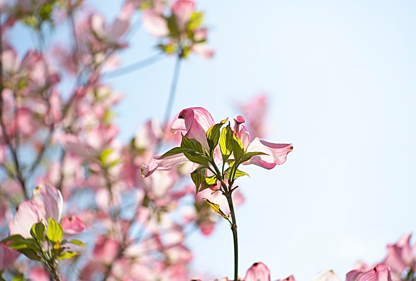 Image by Markus Spiske
