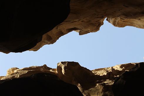 Image by Farnoosh Abdollahi