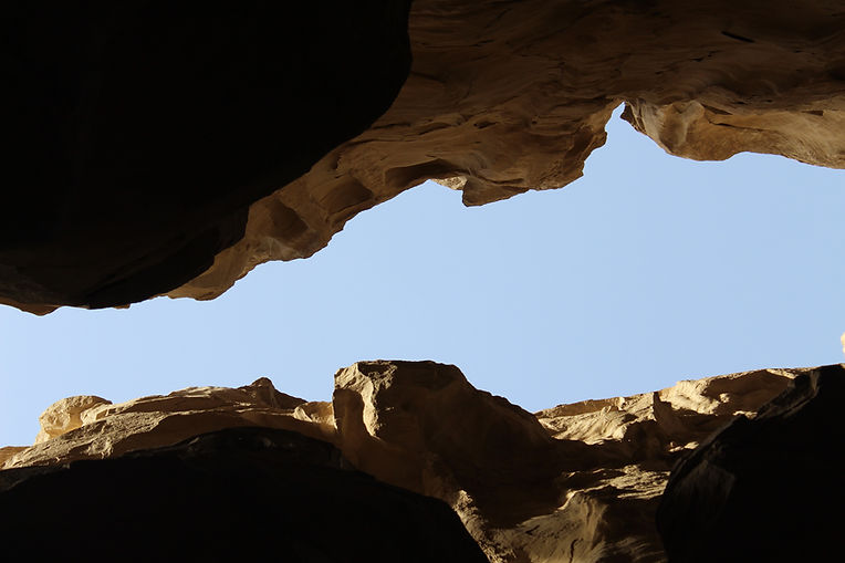 Image by Farnoosh Abdollahi