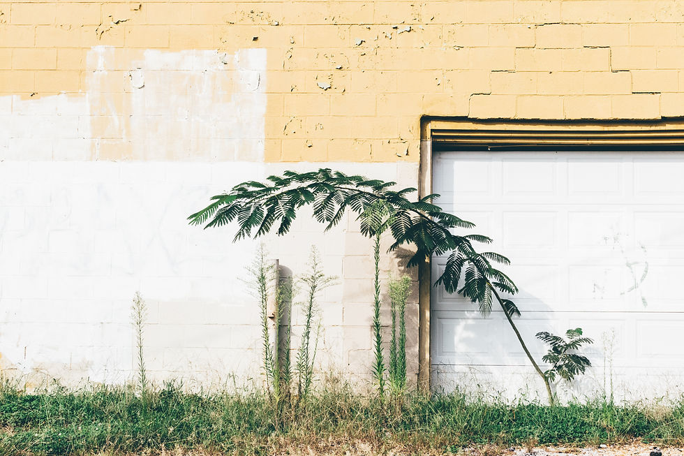 Image by Khara Woods
