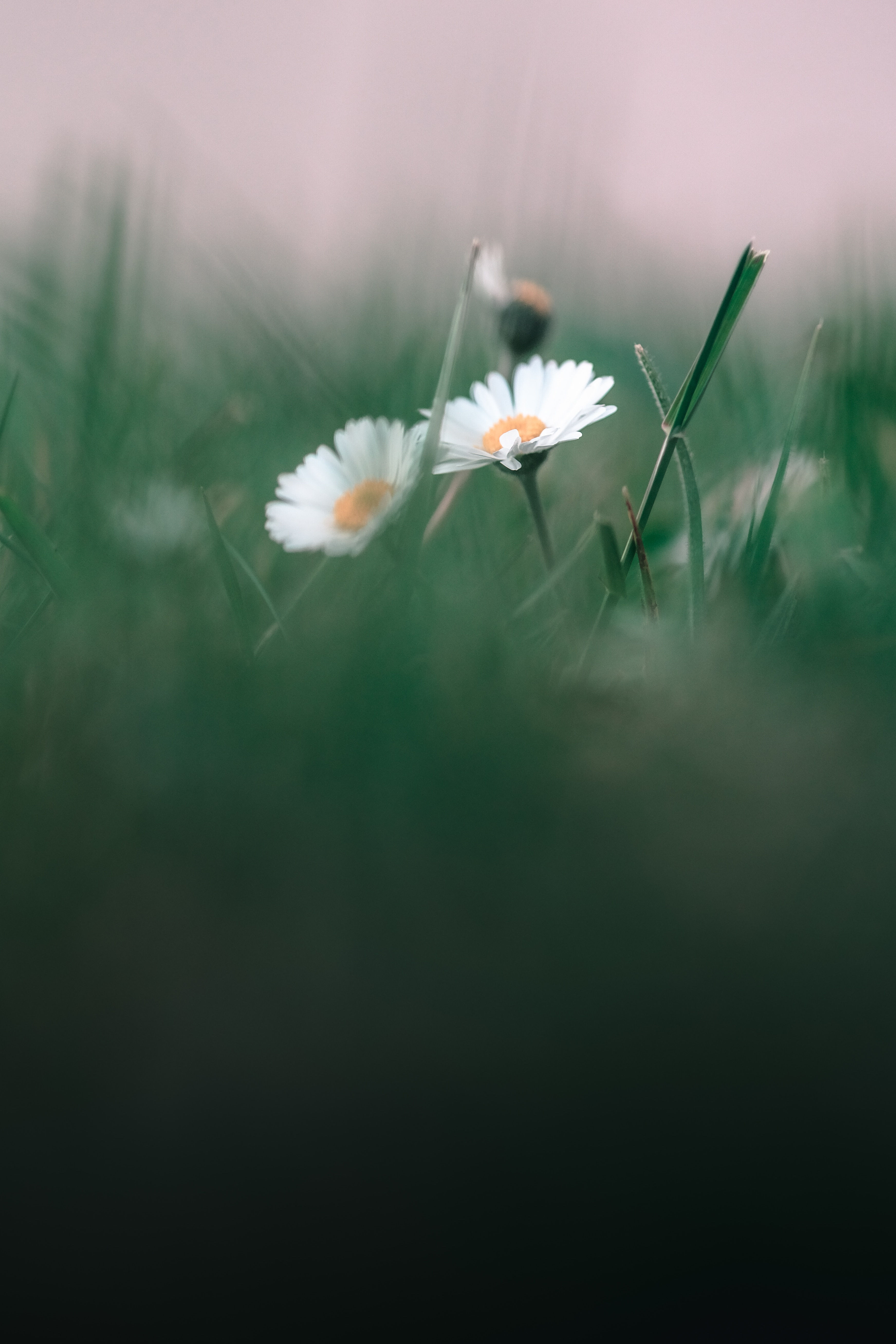 Relax and Let Things Unfold- written procedure
