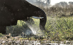 Image by Wynand Uys