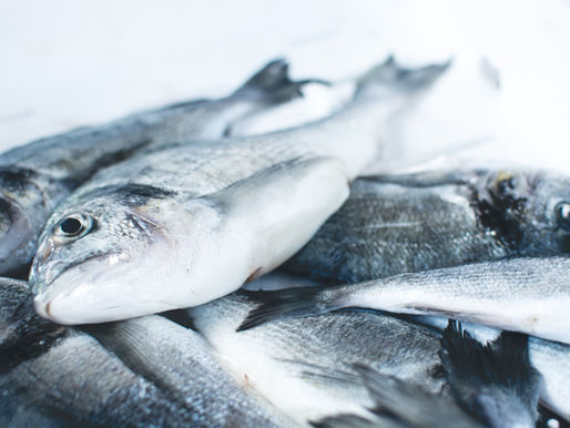 The Fish Rots from the Head: Fixing Leadership Before It Stinks