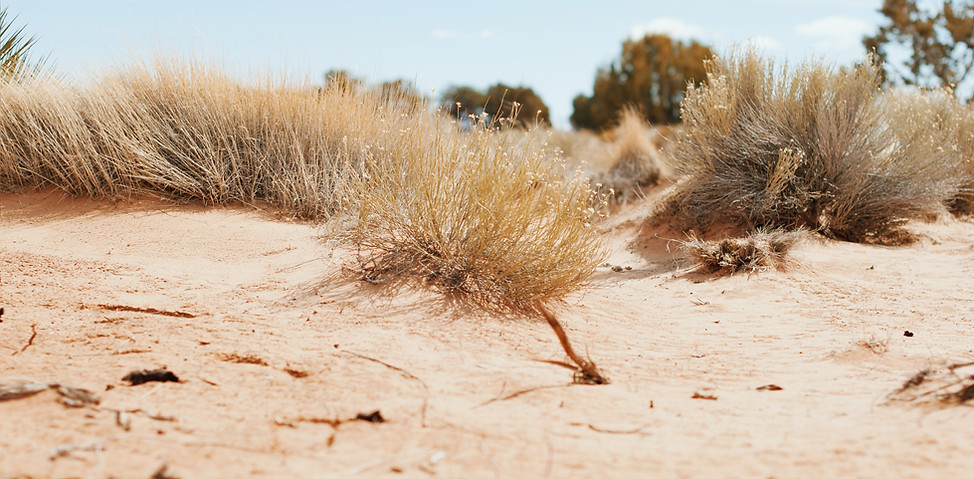 Image by Aubrey Rose Odom