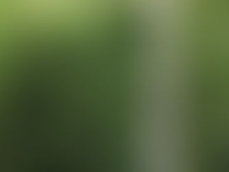 Zuno Carbon has secured $2.5 million in seed funding