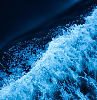 Image by Max LaRochelle