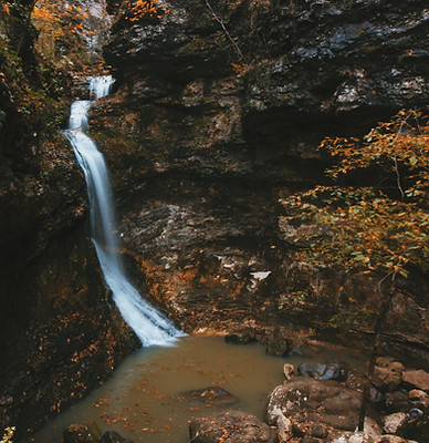 Image by Josh Clemence