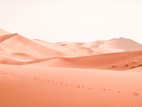 God's Call to Abraham - a study of Genesis 12