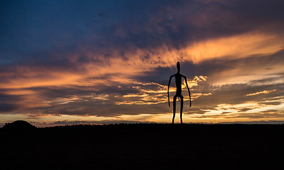 Image by Brian McMahon