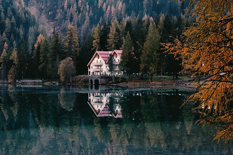 Image by eberhard grossgasteiger