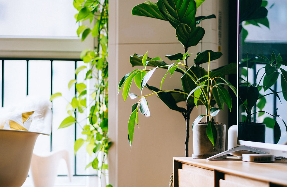 Eco Smart Work place